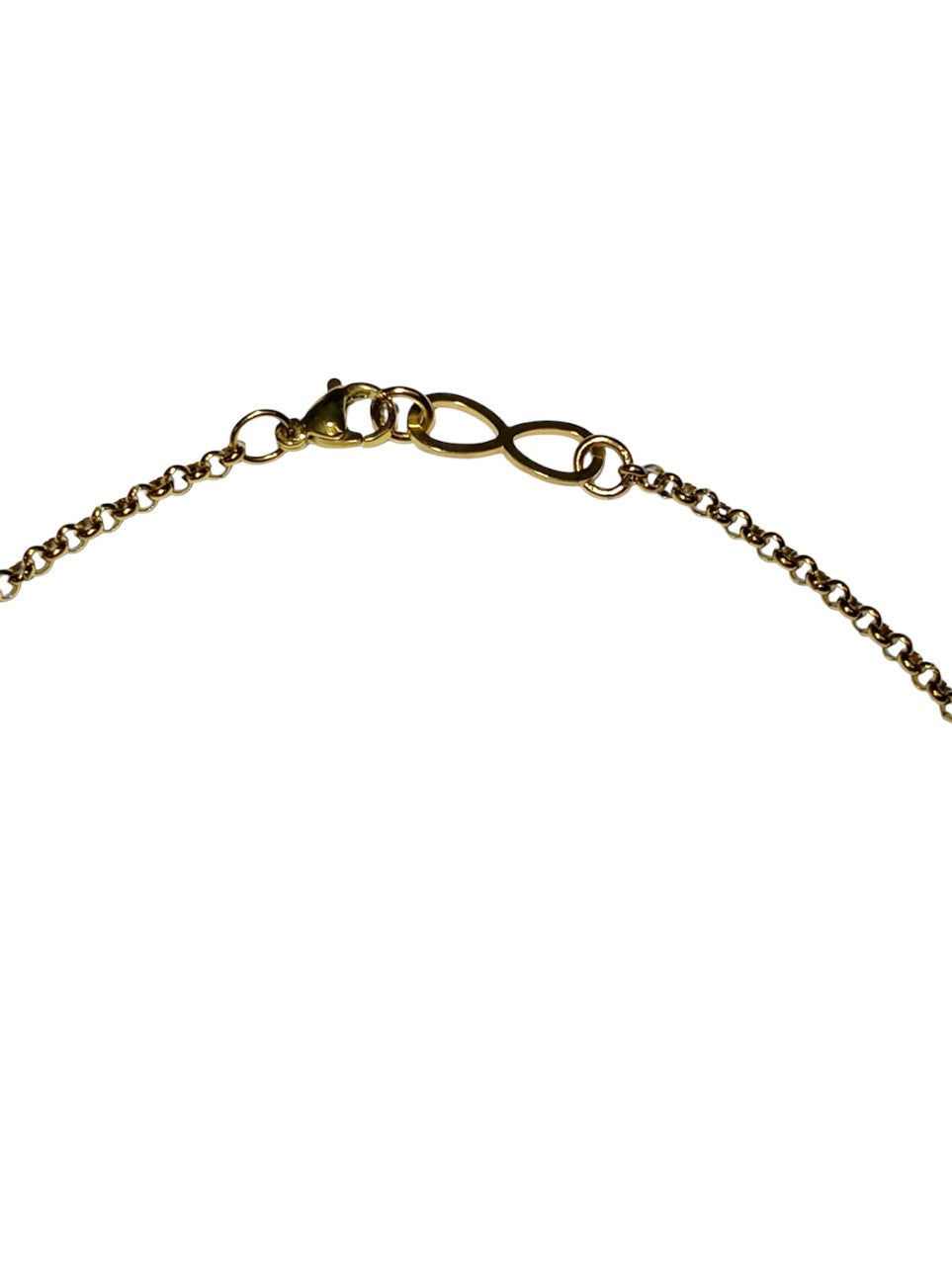 The Ouroboros Necklace - 19'' Chain