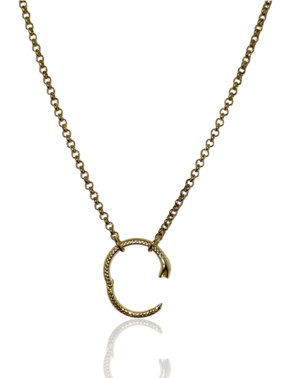 The Ouroboros Necklace - 19'' Chain